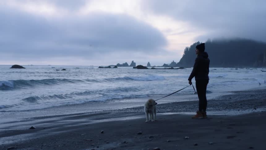 A person standing on the beach with their dog
