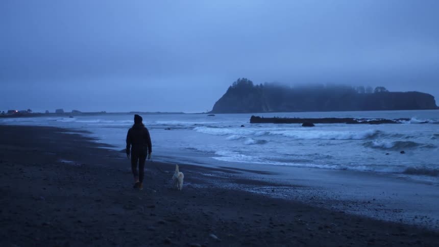 A woman walking down the beach with her dog