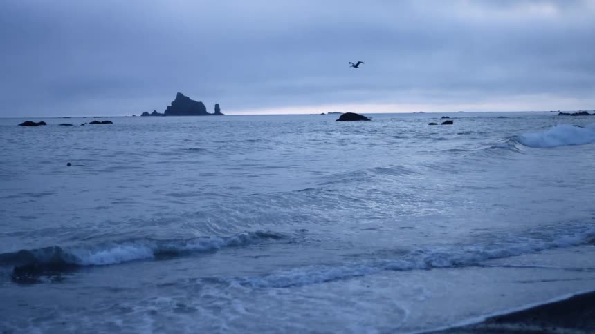 A large water body with waves and the beach