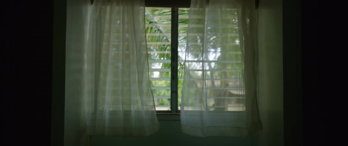 A person walks over and stands before an open window overlooking some palm trees