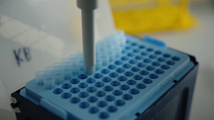 An item is placed into a plastic vial and extracted from a plastic box on a counter
