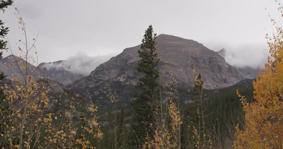 Trees are blowing in the wind before a mountain