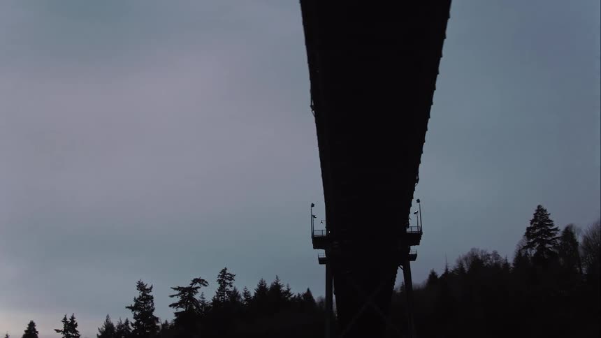 Silhouette of Lions Gate Suspension Bridge at dusk