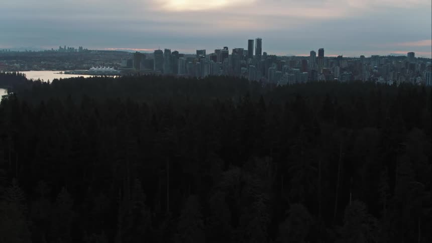 Aerial of Stanley Park forest with Vancouver city skyline behind