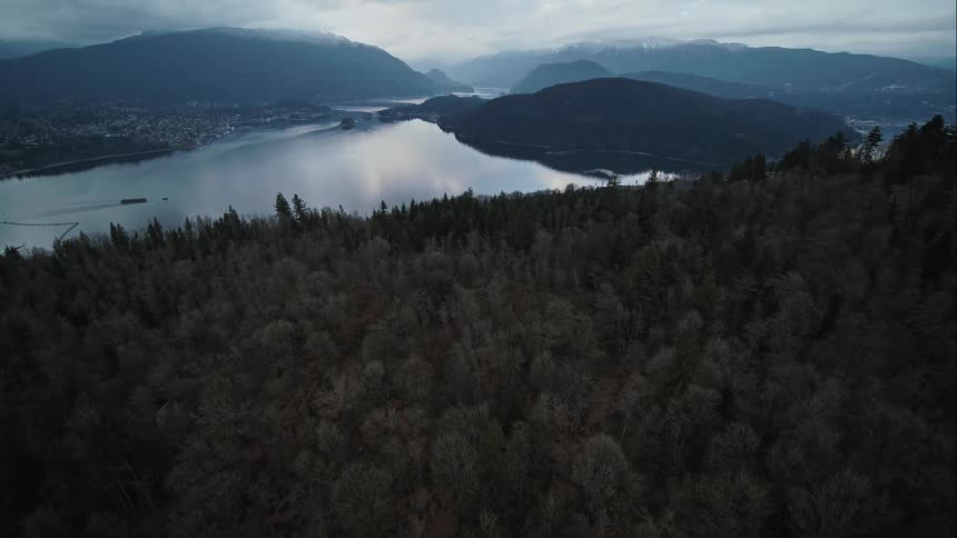 An aerial view of trees covering a mountainside with an inlet in the distance