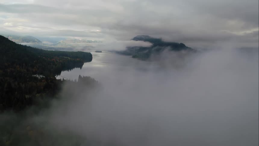 Heavy fog sits over a lake and parts of a forest