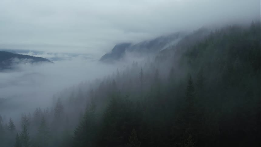 Aerial footage of cloud cover over mountains and evergreen forest