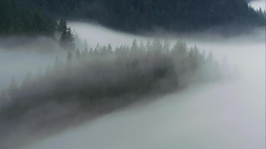 Heavy cloud cover over valley in pine forest covered mountains