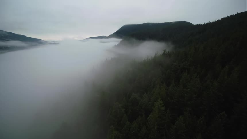 Clouds covering a forest