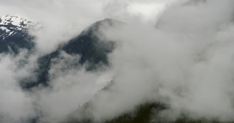 Fog swirling around the forested slopes of a mountain