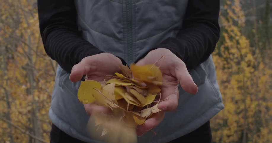 The wind blowing yellow autumn leaves from a woman's cupped hands