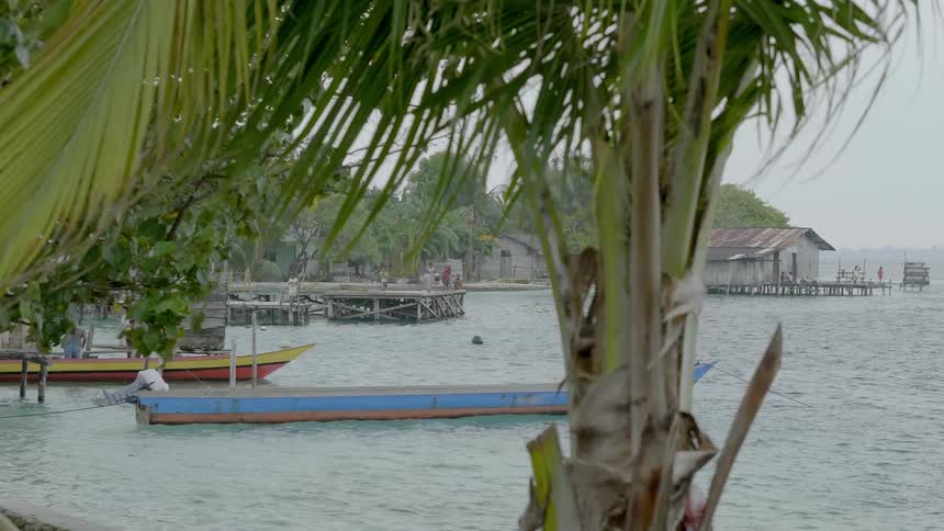 A coastline with boats docks boat house palm trees in overcast weather