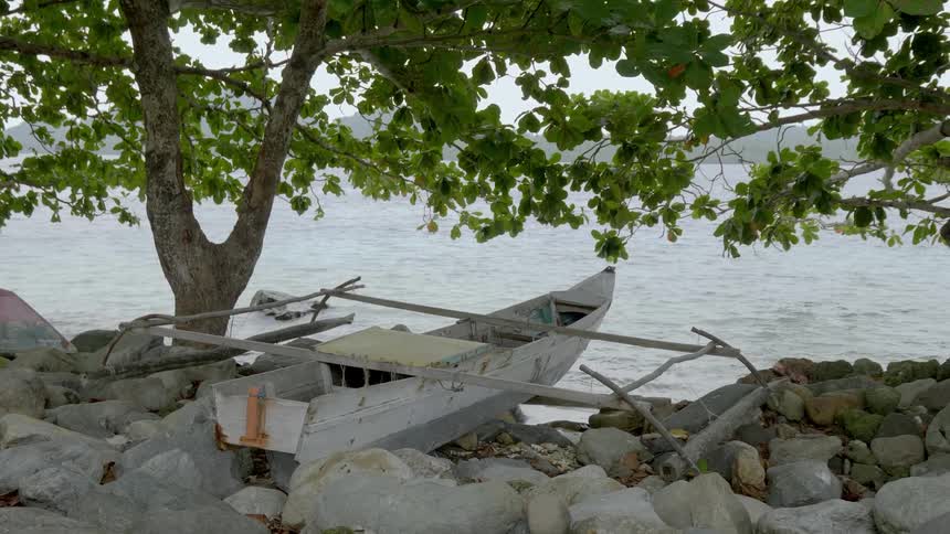 Small boat hidden in trees ontop of some rocks