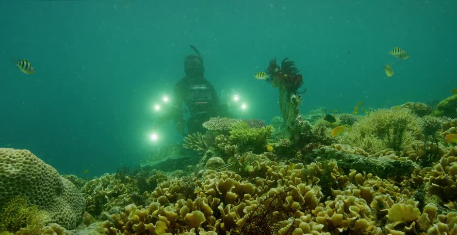 A scuba diver is underwater with a camera next to a coral reef and small fish
