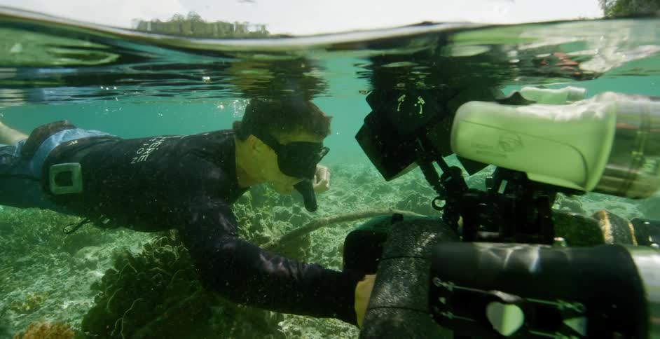 A underwater camera operator swims through the shallows with his underwater camera