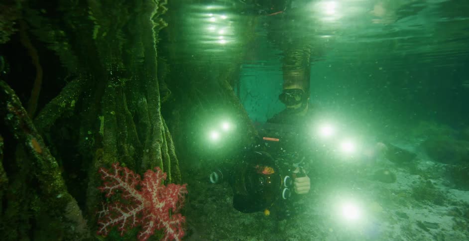 Man in scuba diving gear films underwater in a river surrounded by mangrove trees