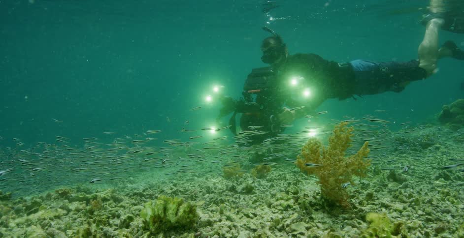 A diver holding a large underwater camera swims through a school of small fish