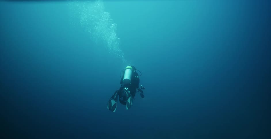 A diver under water