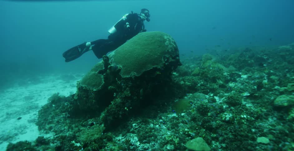 A scuba diver is underwater carrying a camera near the ocean floor
