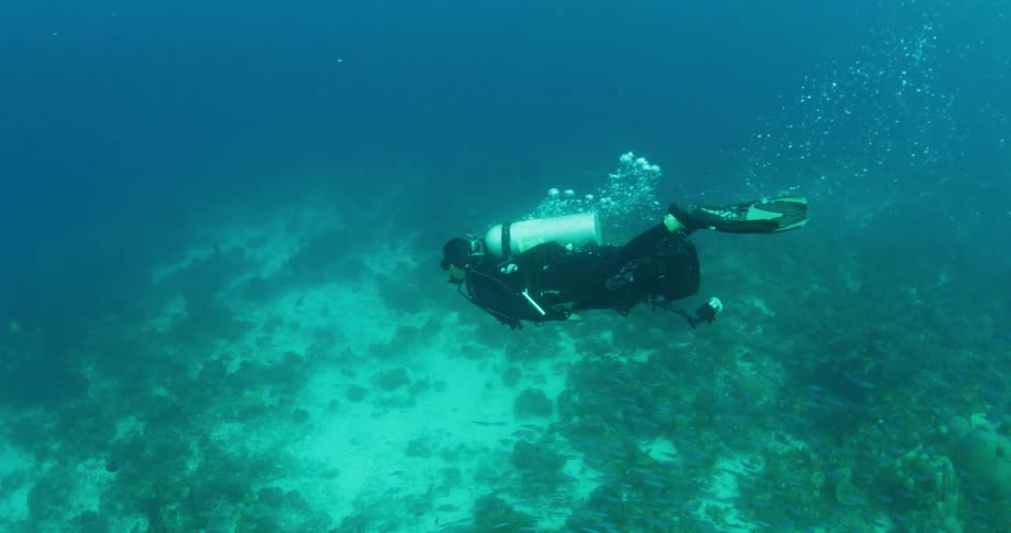 A diver uses an underwater scooter to travel underwater near the sea floor