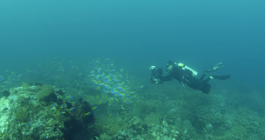 A scuba diver is underwater over a coral reef with a camera