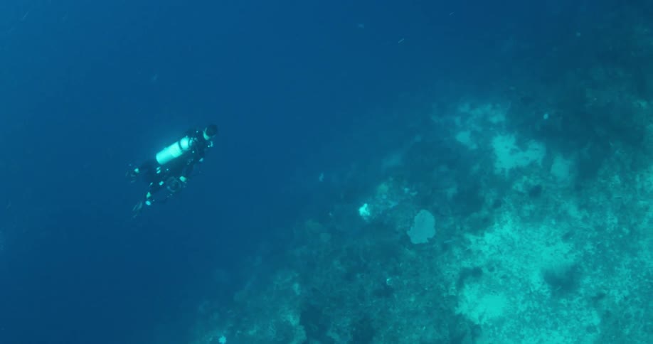 A scuba diver swims above the ocean floor