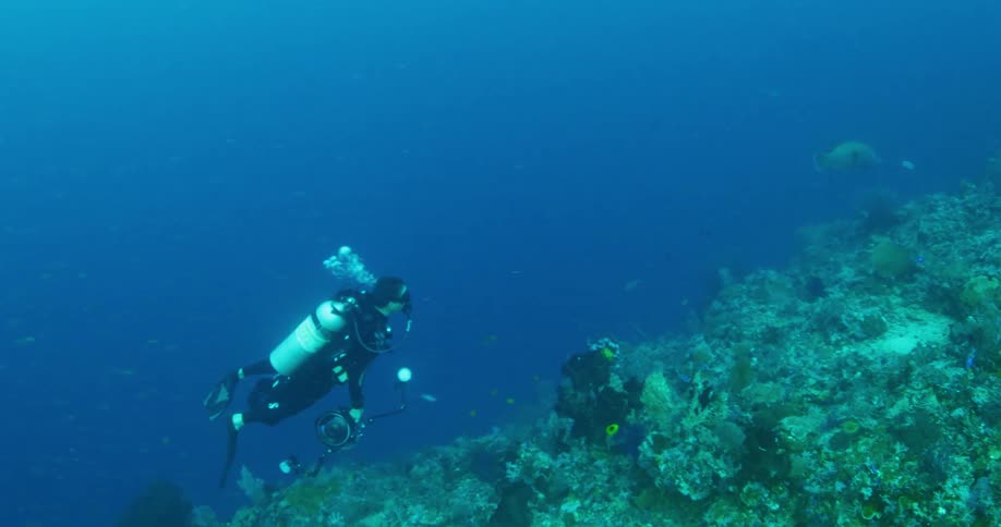 Man in scuba gear swimming underwater above a coral reef habitat
