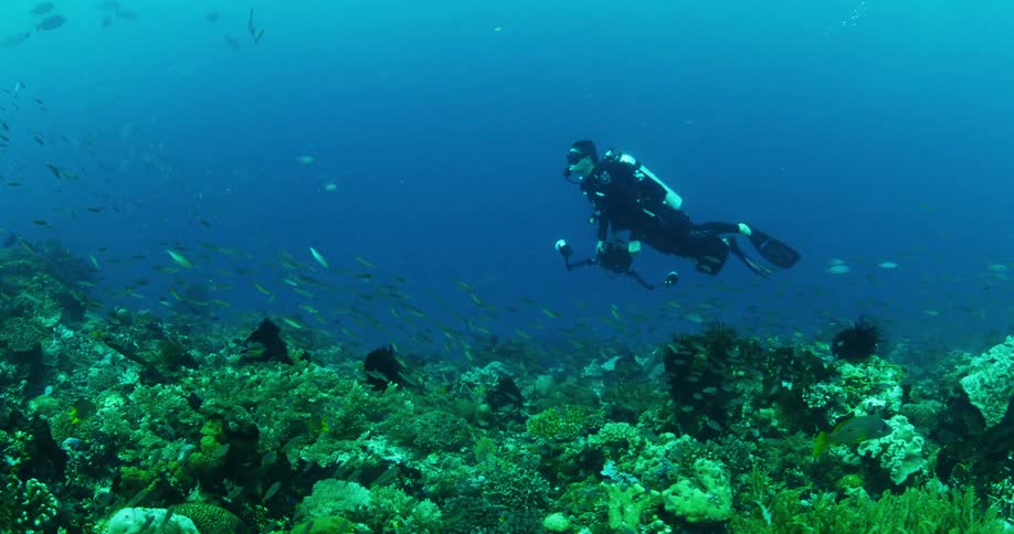 A man scuba diving with a camera underwater with fishes