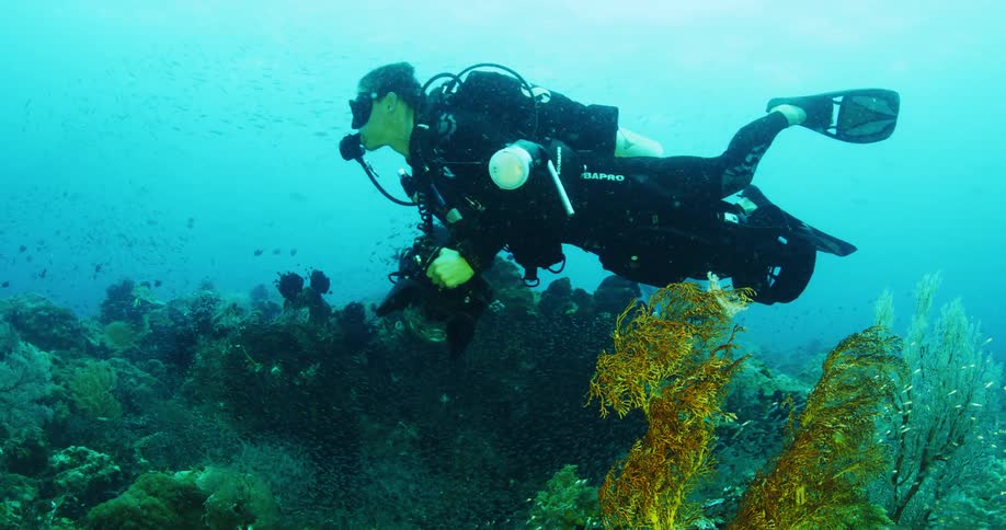 A scuba diver is underwater in the ocean and filming the coral reef and fish