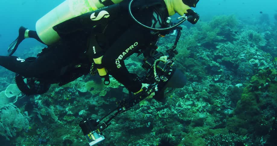 A underwater camera operator propels himself above the sea floor using an underwater scooter
