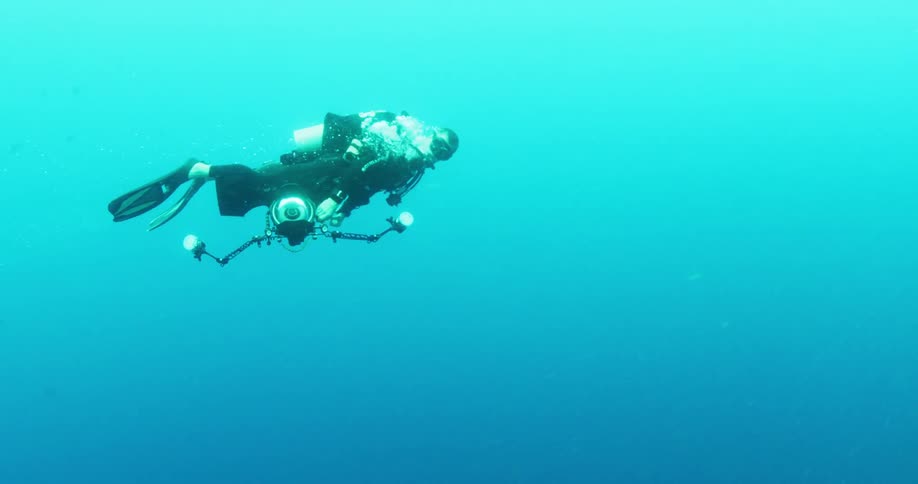 A person scuba diving underwater with bubbles and fishes