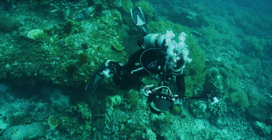 A young man in scuba gear and oxygen tank is under water taking photographs