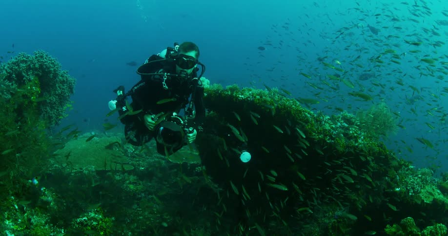 A scuba diver is underwater with a large camera swimming among a school of fish above a coral reef