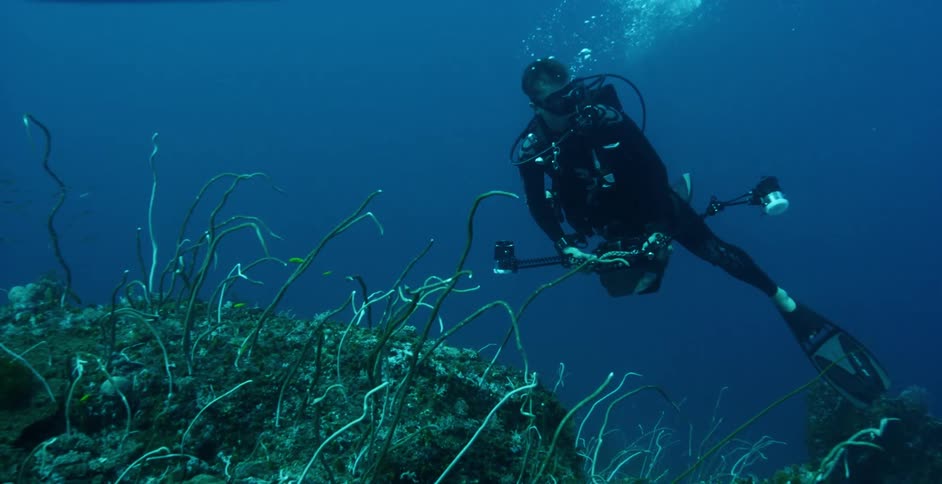A scuba diver swimming over coral reef in deep blue ocean water