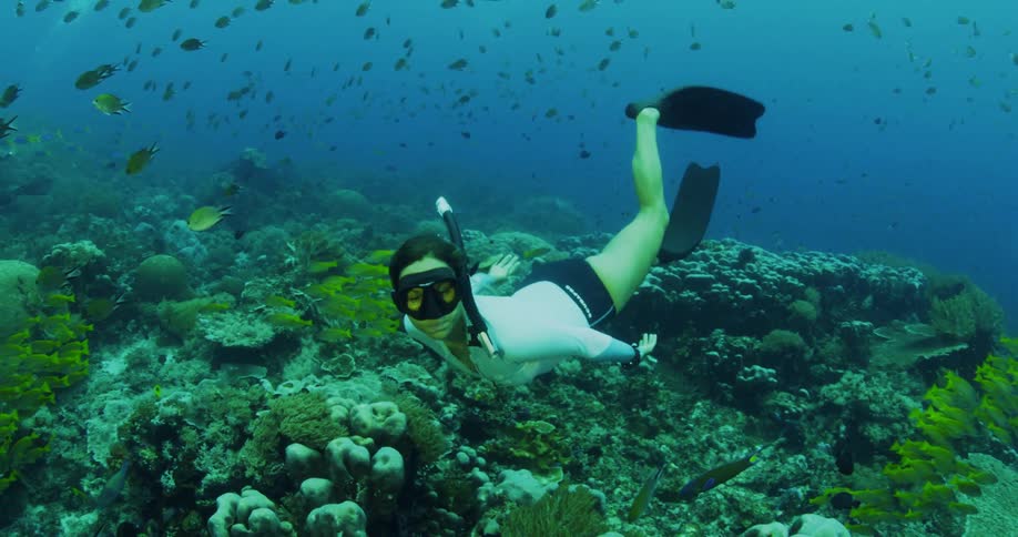 A woman is swimming underwater in the ocean