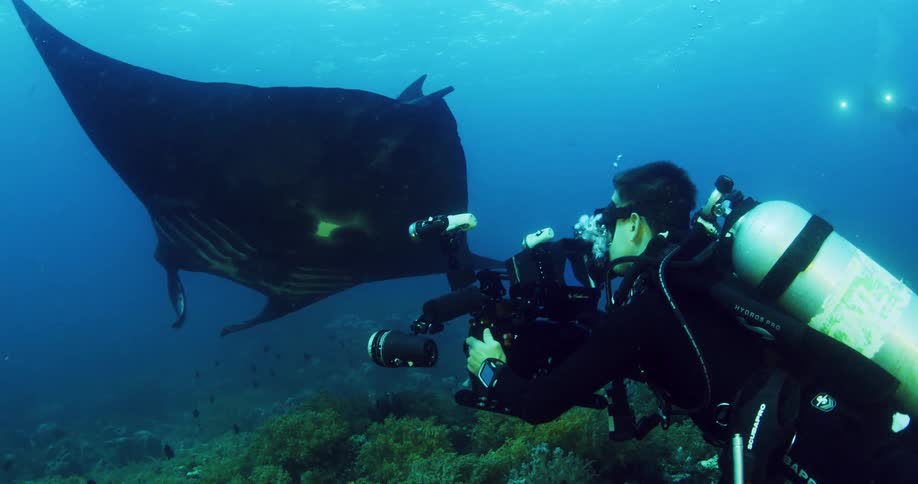 A woman is underwater next to a sting ray