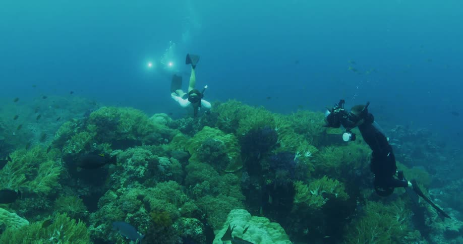 People snorkeling and taking pictures underwater with fish and coral reef present