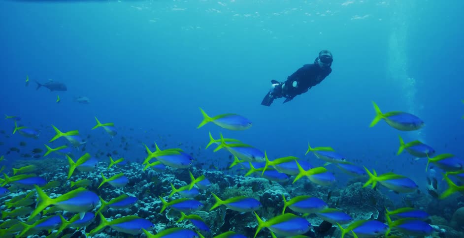 A diver carries an underwater camera while traveling underwater using an underwater scooter