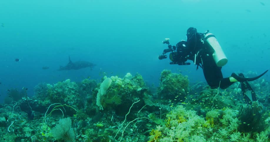 A diver films a manta ray swimming in the distance