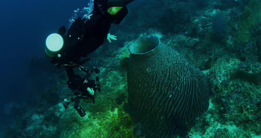 A diver shoots footage of a large vase like object on the ocean floor