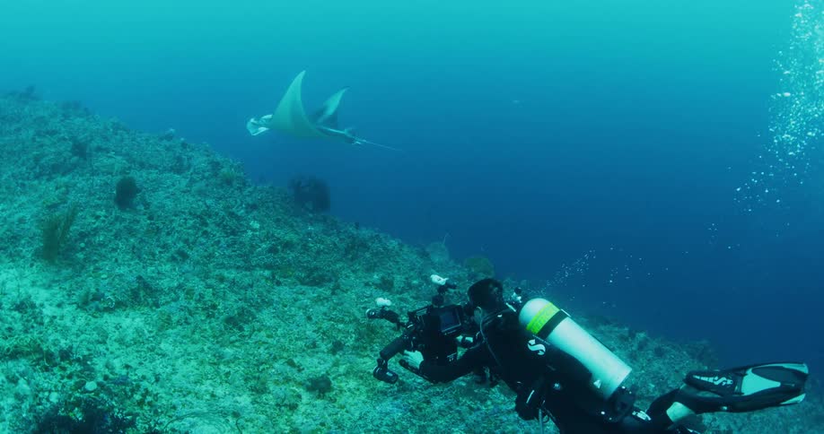 A person scuba diving underwater with a camera next to a manta ray