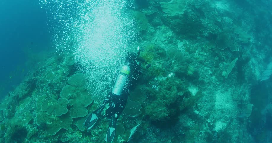 A diver emits a cloud of bubbles as they film the sea floor with an underwater camera