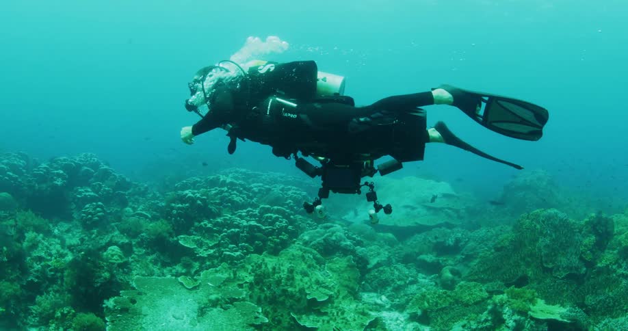 A person scuba diving underwater with a coral reef and fishes