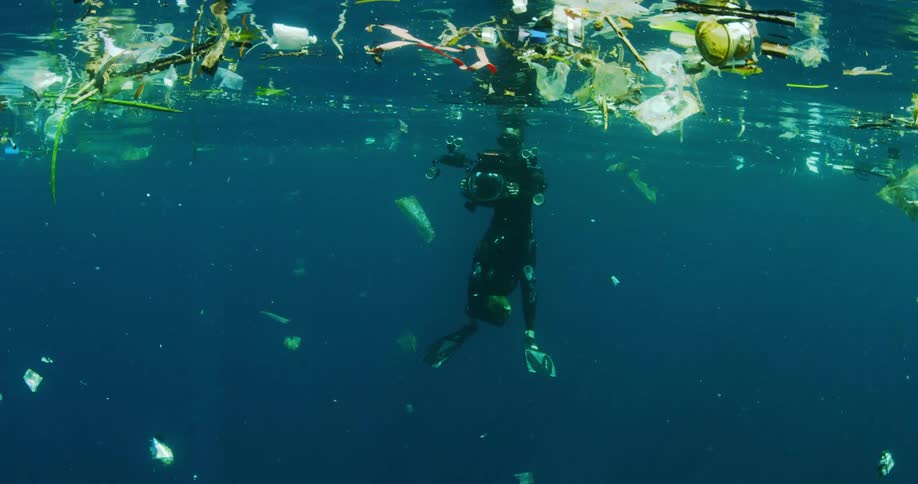 A diver is photographing underwater