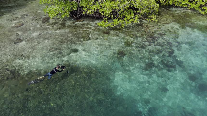 A person with flippers scuba diving in water with a camera near a coast with trees