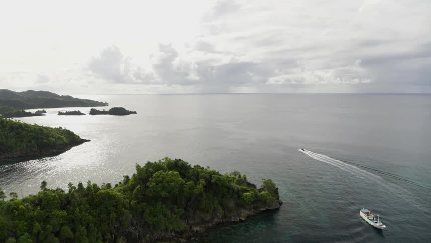 Seacraft travel off the forested coast of a landmass under a pale and cloudy daytime sky