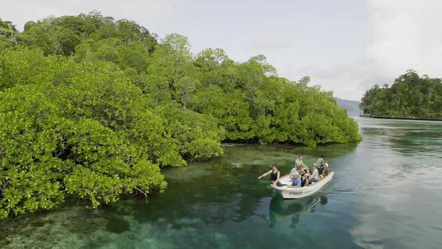 A group of passengers on a boat moving over water next to an island with lush vegetation in the daytime