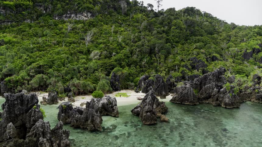 A view of tropical landscape beach water trees