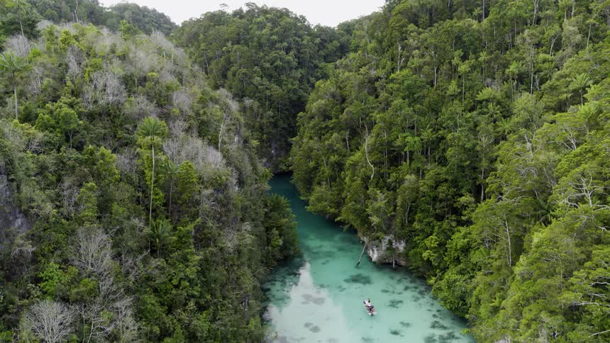 A ravine with a boat on the river with trees during daytime