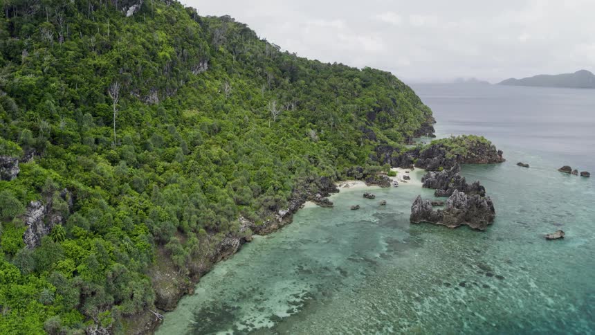 The mountainous coast of a rocky landmass covered in vegetation on a cloudy day
